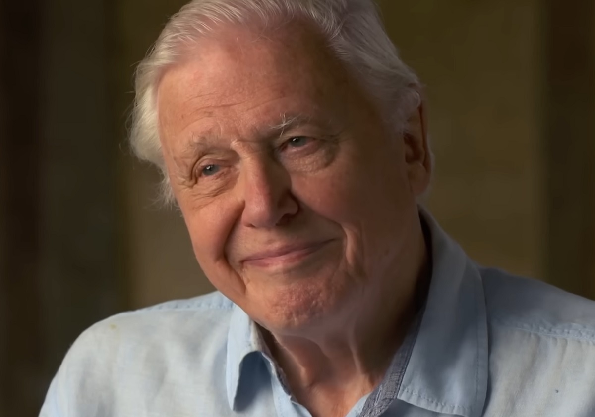 David Attenborough, fot. screen z youtube / 60 Minutes