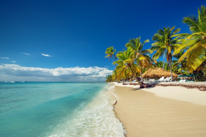 fot. Shutterstock.com